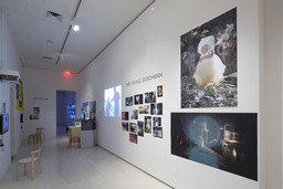 Installation photo, 33 of 45