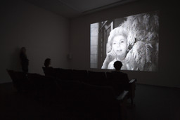 Installation photo, 12 of 25