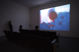 Installation photo, 14 of 25
