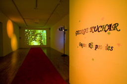 Installation photo, 3 of 25