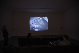 Installation photo, 4 of 25
