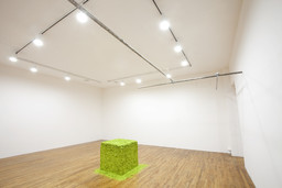 Installation photo, 5 of 32