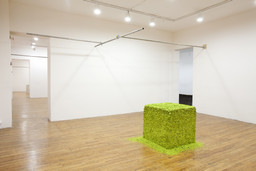 Installation photo, 3 of 32