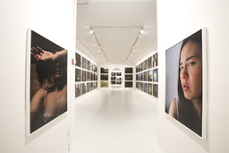 Installation photo, 1 of 19