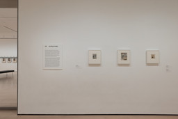Installation photo, 8 of 15
