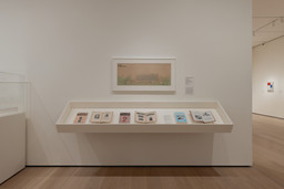 Installation photo, 9 of 21