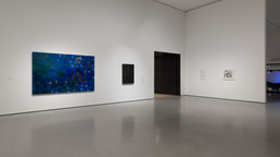 Installation photo, 1 of 17