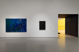 Installation photo, 2 of 17