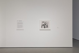 Installation photo, 3 of 17