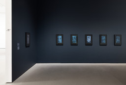 Installation photo, 4 of 17
