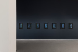 Installation photo, 5 of 17