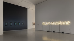 Installation photo, 7 of 17