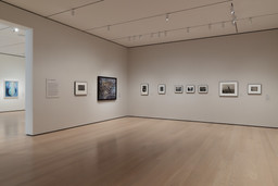 Installation photo, 10 of 22