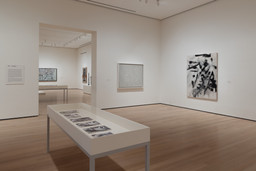 Installation photo, 3 of 24