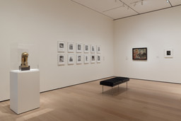 Installation photo, 12 of 34