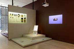 Installation photo, 9 of 17