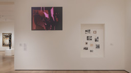 Installation photo, 21 of 43