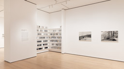 Installation photo, 11 of 64
