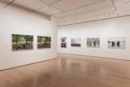 Installation photo, 24 of 64