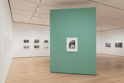 Installation photo, 3 of 64