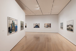 Installation photo, 40 of 64