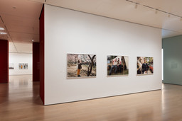 Installation photo, 48 of 64