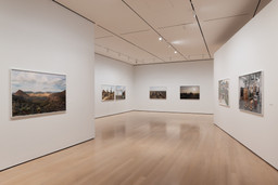 Installation photo, 49 of 64