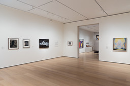 Installation photo, 1 of 24
