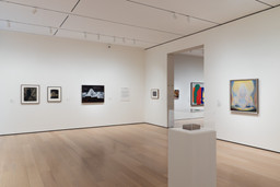 Installation photo, 7 of 24
