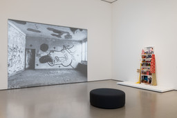 Installation photo, 4 of 17