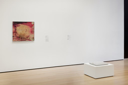 Installation photo, 10 of 24