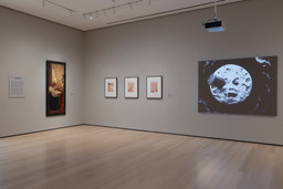 Installation photo, 1 of 25