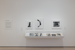 Installation photo, 1 of 15