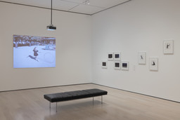 Installation photo, 3 of 15