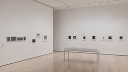 Installation photo, 5 of 15