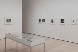 Installation photo, 6 of 15