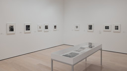 Installation photo, 7 of 15