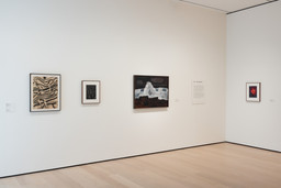 Installation photo, 8 of 24