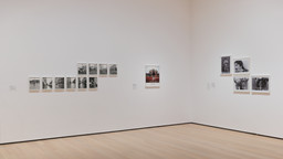 Installation photo, 8 of 19