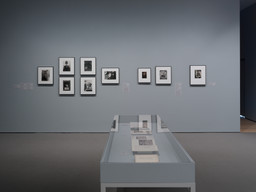 Installation photo, 3 of 14