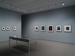 Installation photo, 4 of 14