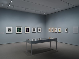 Installation photo, 5 of 14