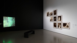 Installation photo, 4 of 8