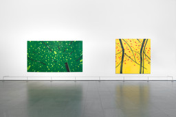 Installation photo, 9 of 15