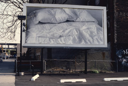 Installation photo, 6 of 35
