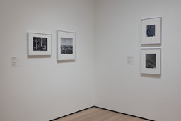 Installation photo, 18 of 21
