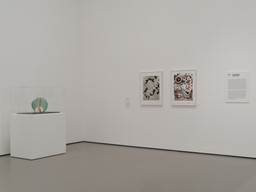 Installation photo, 5 of 17