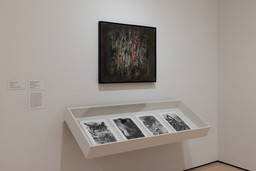 Installation photo, 11 of 14