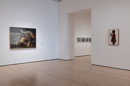 Installation photo, 11 of 17