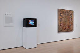 Installation photo, 9 of 17